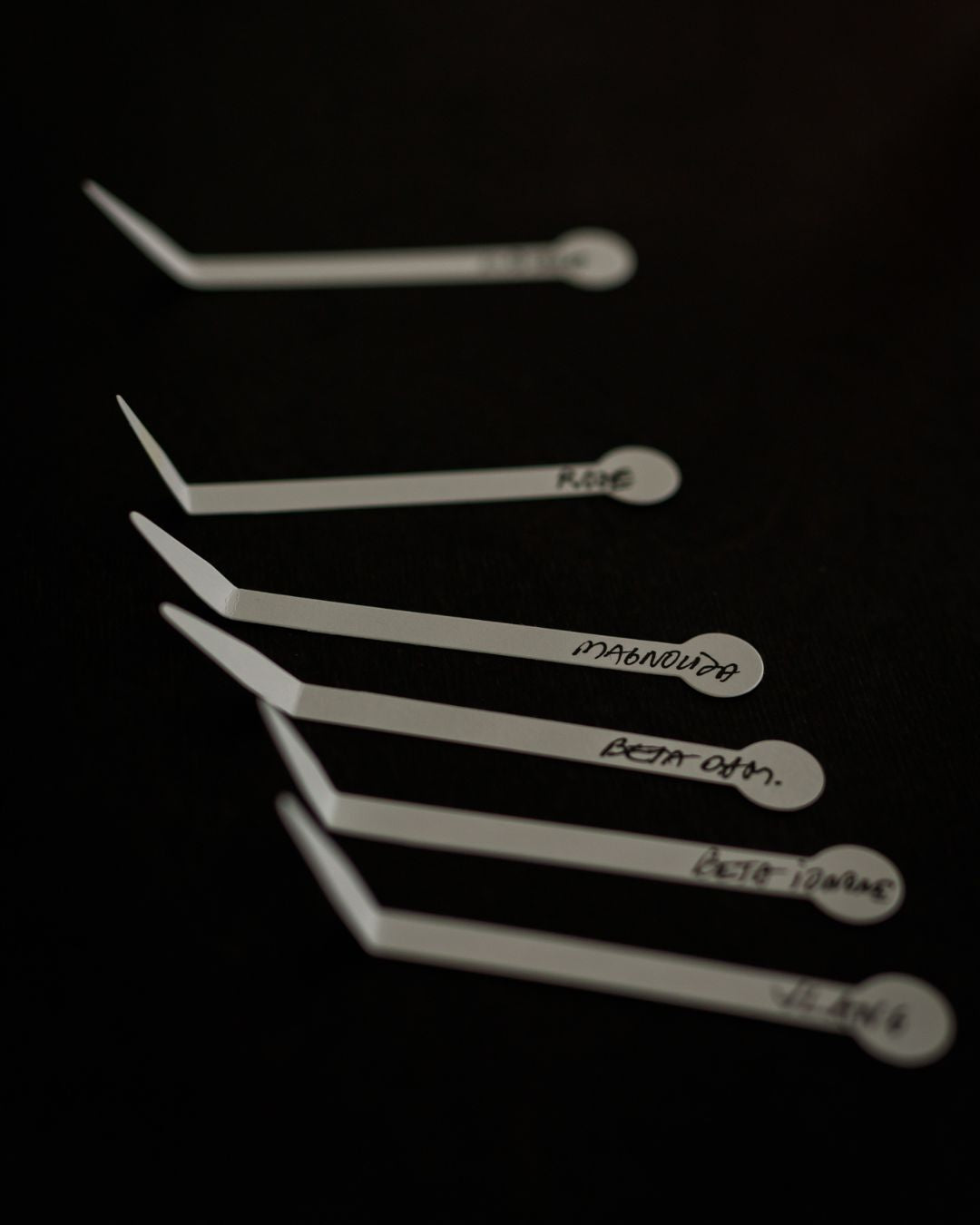Smaržu meistarklase grupām